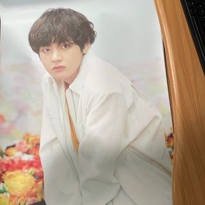 BTS V World Tour LY poster
